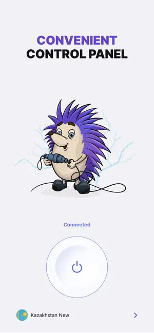 VPN Hedgehog master proxy