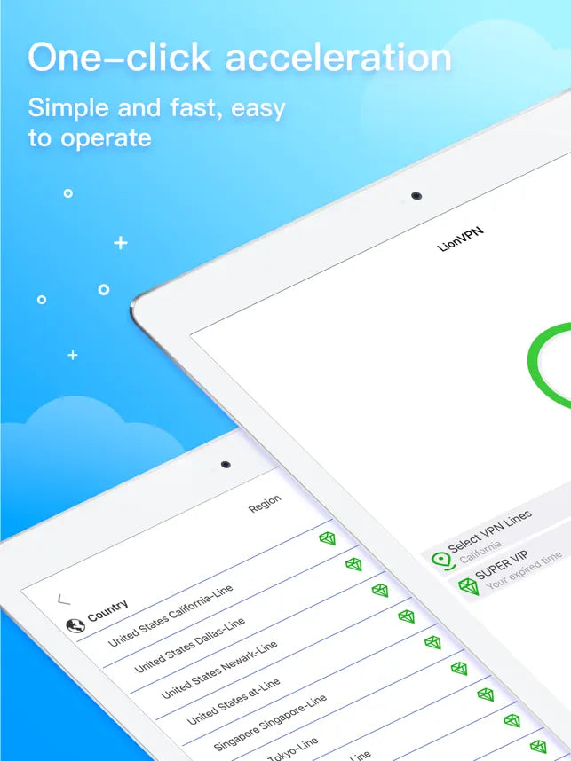 LionVPN-Best VPN for Network