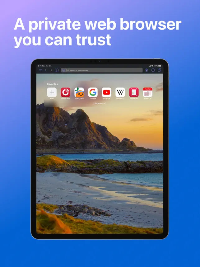 Private Browser Deluxe